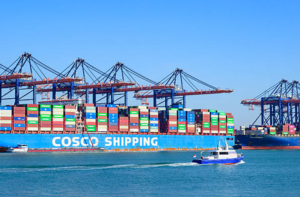 Michael Ricklefs and the Growth of King of Freight