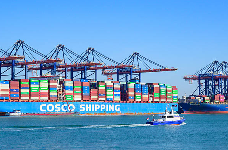 Michael Ricklefs and the Growth of King of Freight
